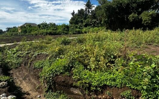 1 are land freehold in Keramas near beach