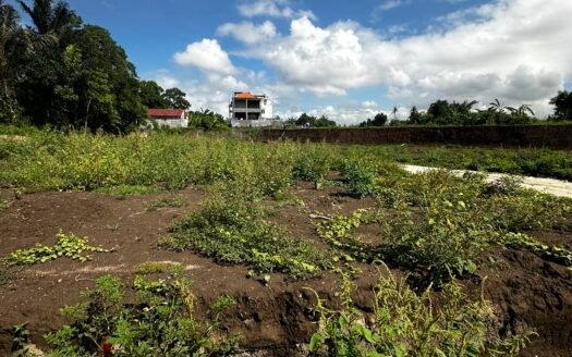 1 are land freehold in Keramas near beach