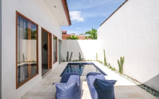 Unique Minimalist Villa in Canggu – 1BR Modern Escape