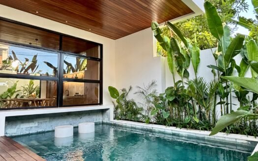 Turn-Key Designer 2BR Villa – Beachside Pererenan, Lease Until 2049