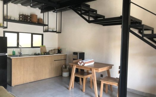 Super Cozy 1 BR Studio Loft in Umalas for Rent Monthly