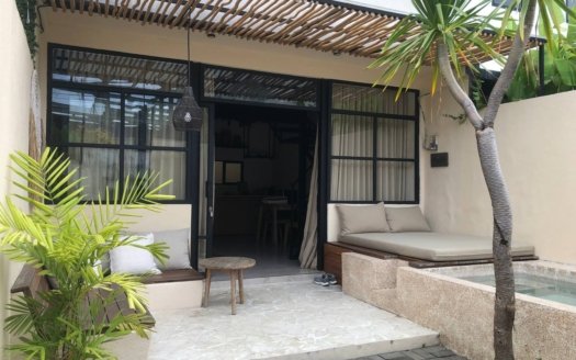 Super Cozy 1 BR Studio Loft in Umalas for Sale Leasehold